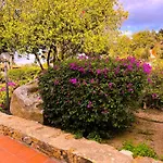 Appartamento Centro - Splendido Con Terrazza