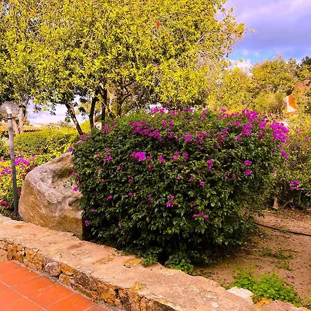 Apartmán Centro - Splendido Con Terrazza