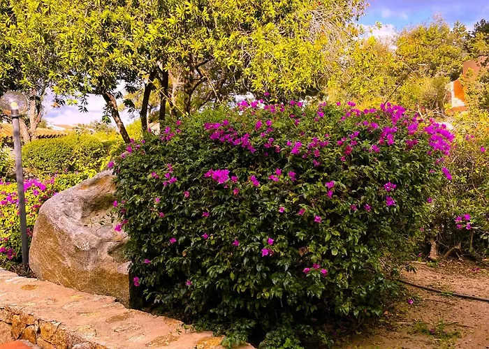 Apartamento Centro - Splendido Con Terrazza