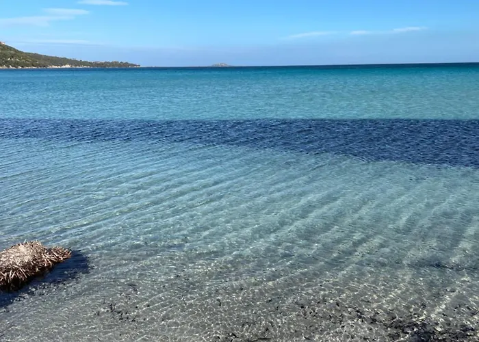 Centro - Splendido Con Terrazza Apartamento